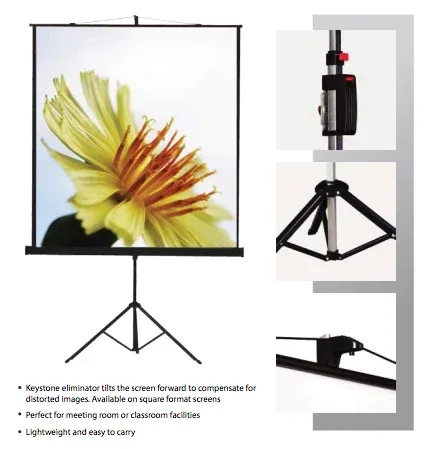 Genuine Malaysia 3rex Projector Tripod Screen Iron Case and Keystone Correction