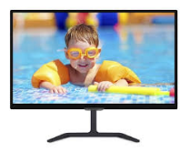 Genuine Malaysia Philips Warranty - PHILIPS 246E7QDS 23.6 INCH FHD LCD MONITOR