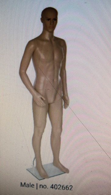 QS Full body mannequin Male/Female