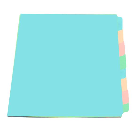 10 colours Index Dividers -Plastic