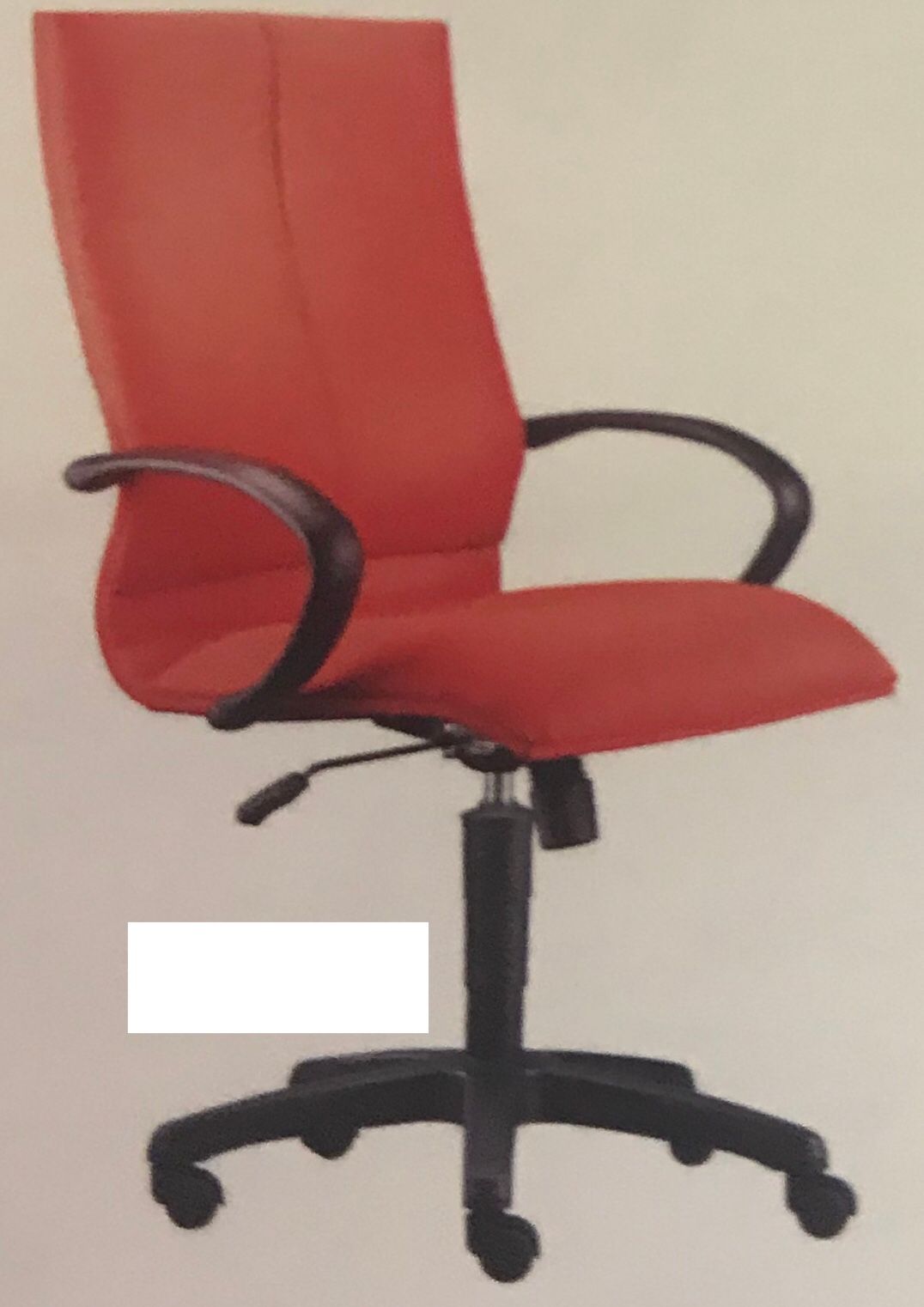EARTH MEDIUM BACK CHAIR