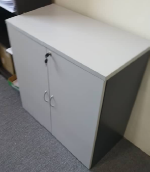 Swing Door Low Cabinet