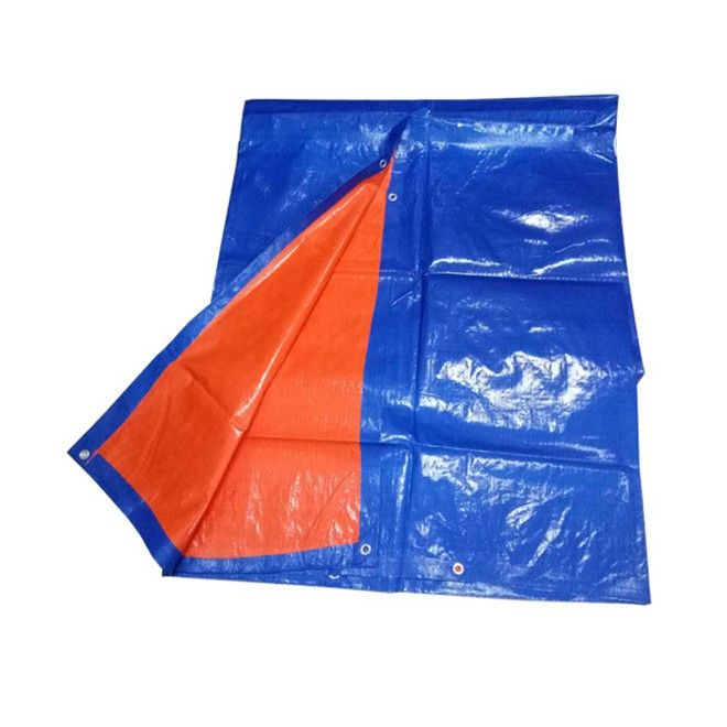 canvas blue /oren 20' x 20