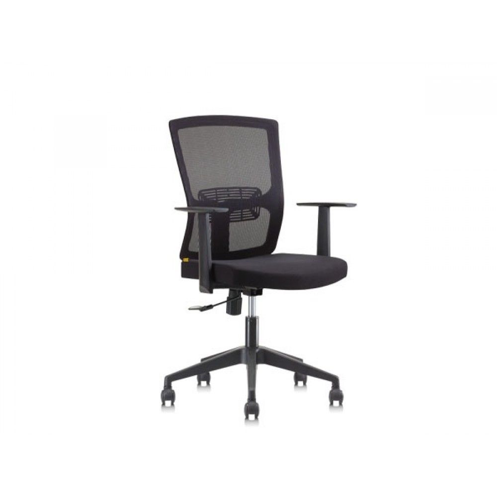 Apex : LowBack Mesh Chair / - CH-NIK-LB-A67-HLB2