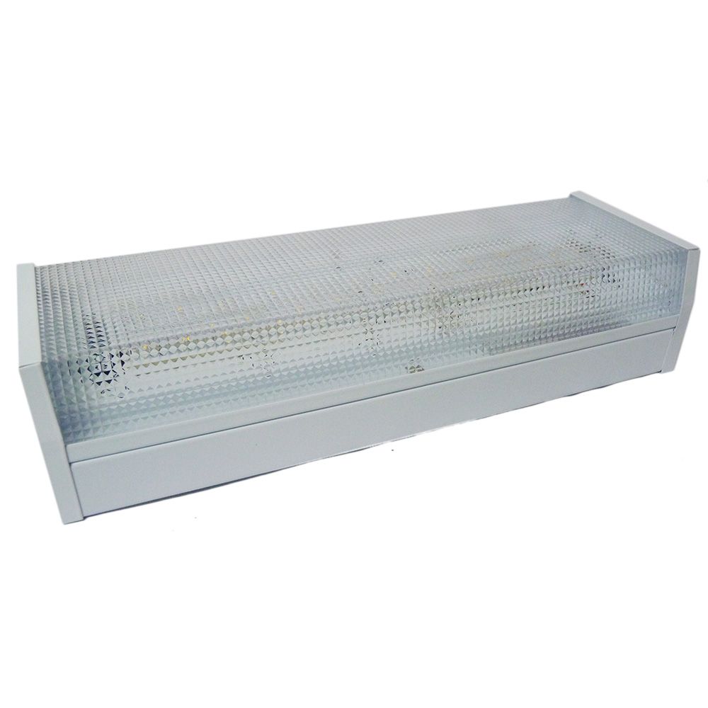 EMERGENCY LIGHT