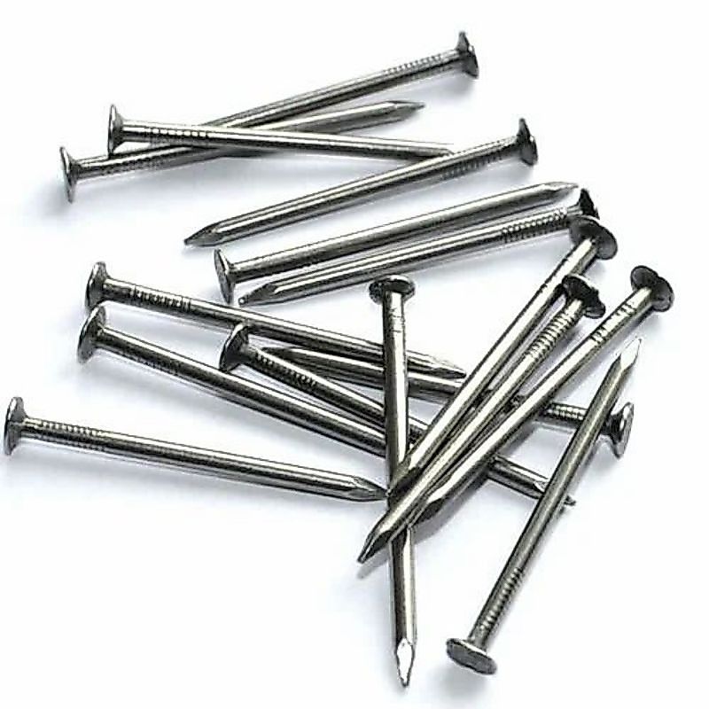 PAKU KAYU / WIRE NAIL (100GRAM)