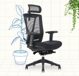 FlexiSpot ErgoChair Pro 2.0