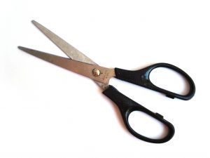 Scissors 6 inch