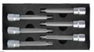 Temo 6Pc 3/8" Dr. Long Type Hex Bit Socket Set - T25-T55