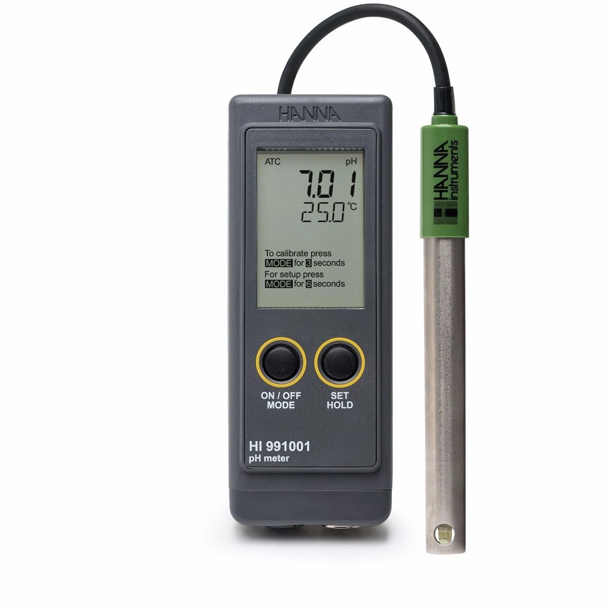 *Hanna Instruments HI 991001N pH Meter