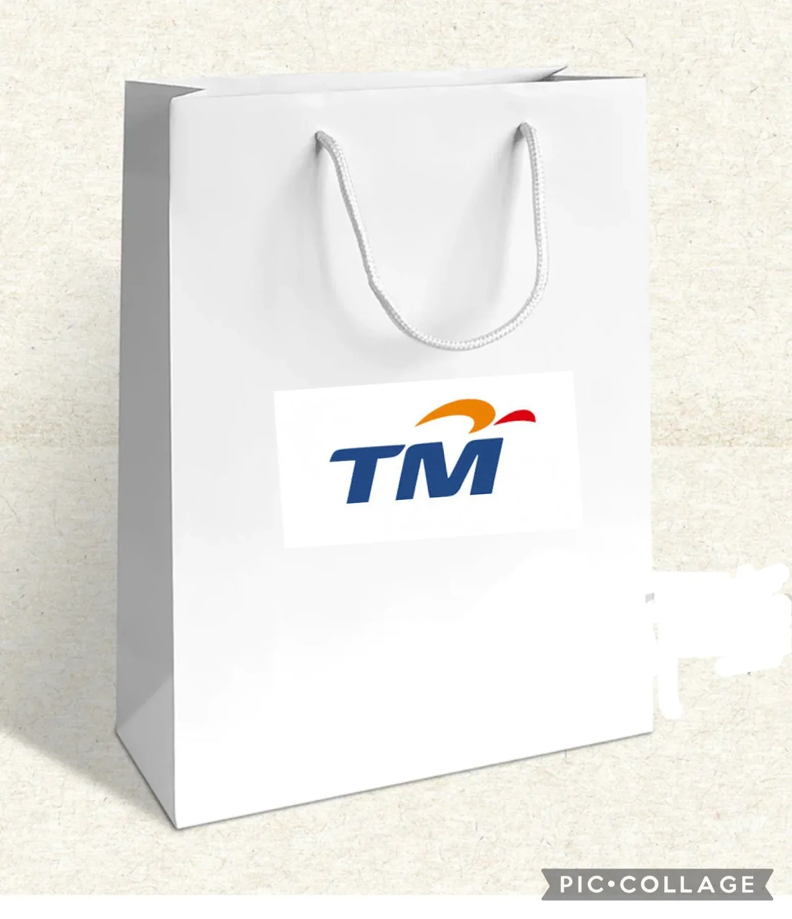 Plain White Paper Bag With TM Logo Size A4
