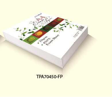A4 EXAM SHEET 80gsm with 2 hole (450's)
