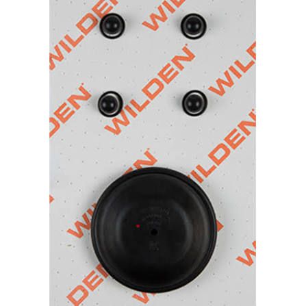 WILDEN KIT, WET, 1"/A/M/VTS
