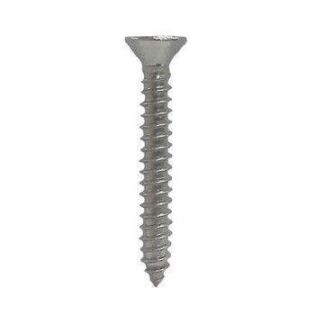 SE SETIA ELECTRIC TAPPING SCREW #6 X 2.1/2"