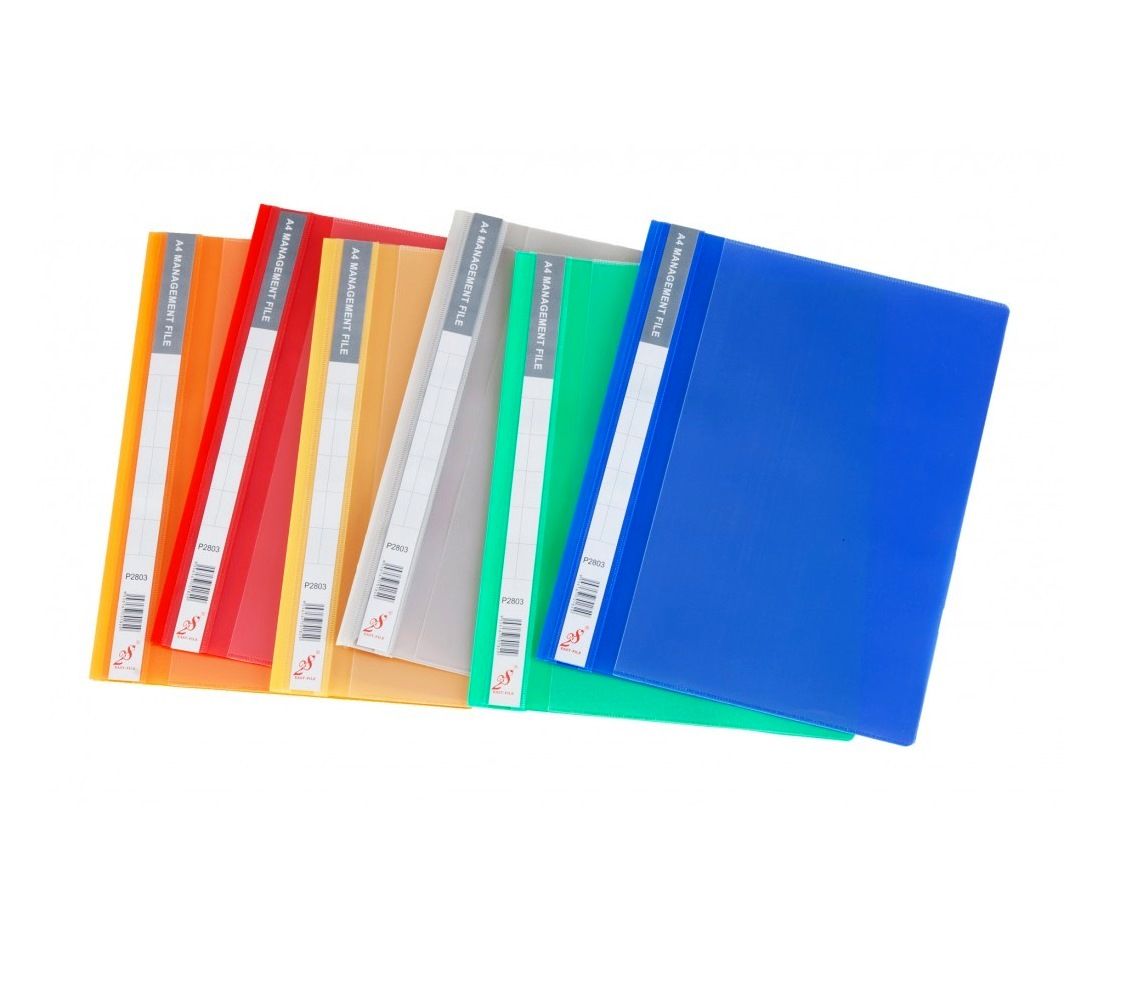 2S Management File