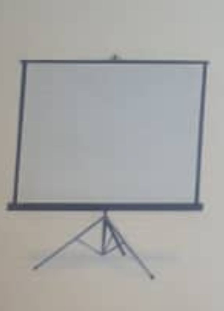 Tripod Projector Screen 84" x 84"