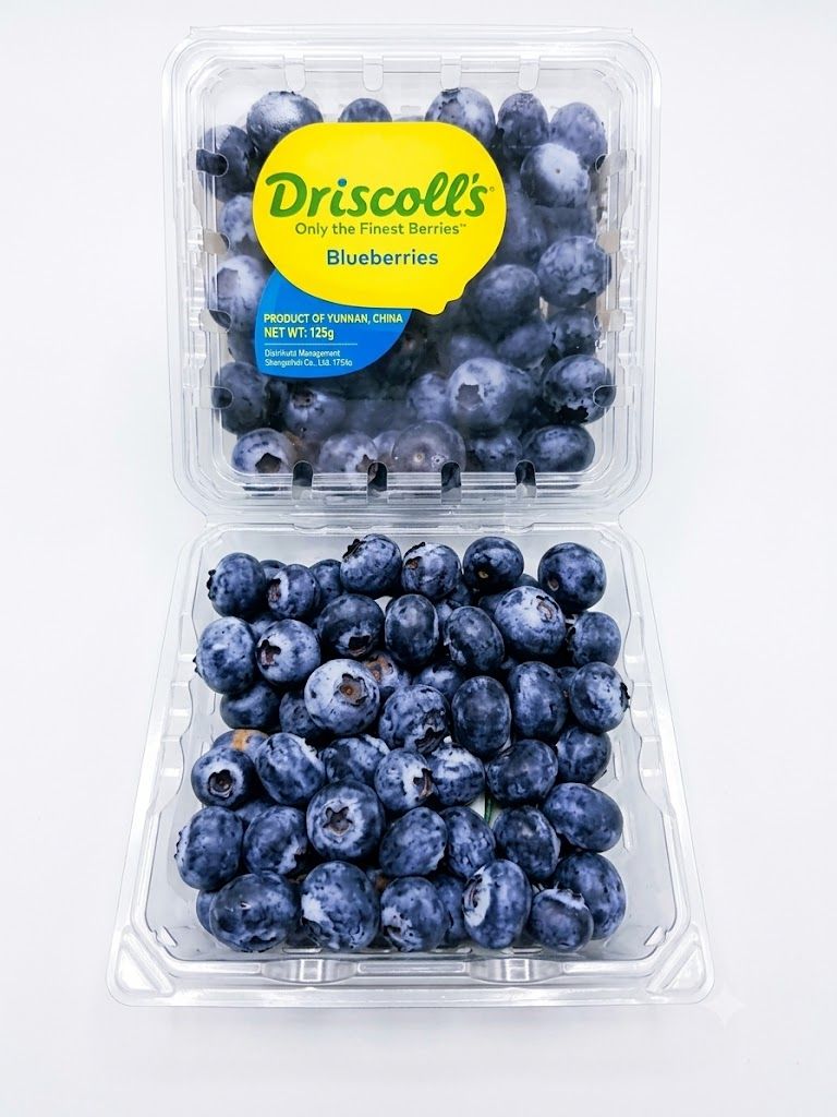 BLUEBERRY CHINA 125G* 1X12 PACK 14MM 1.5KG