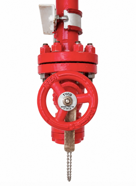 Tyco Model TFA 145 2" 300LB Hydrant Valve
