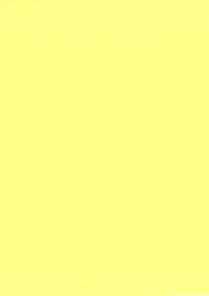WALES TWO SHEET CARD LEMON 120gsm 100's
