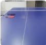 Compact Indoor Table Tennis Table with Innovative Net with Wheel