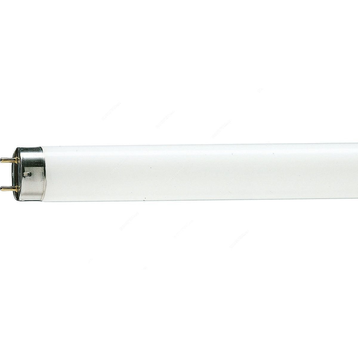 Others *FLUORESCENT TUBE, 2 PIN, TLD 36W/54, PHILIP, C