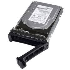 DELL 1TB 7.2K RPM Near-Line SAS 2.5in Hot-Plug Hard Drive (With Casing)