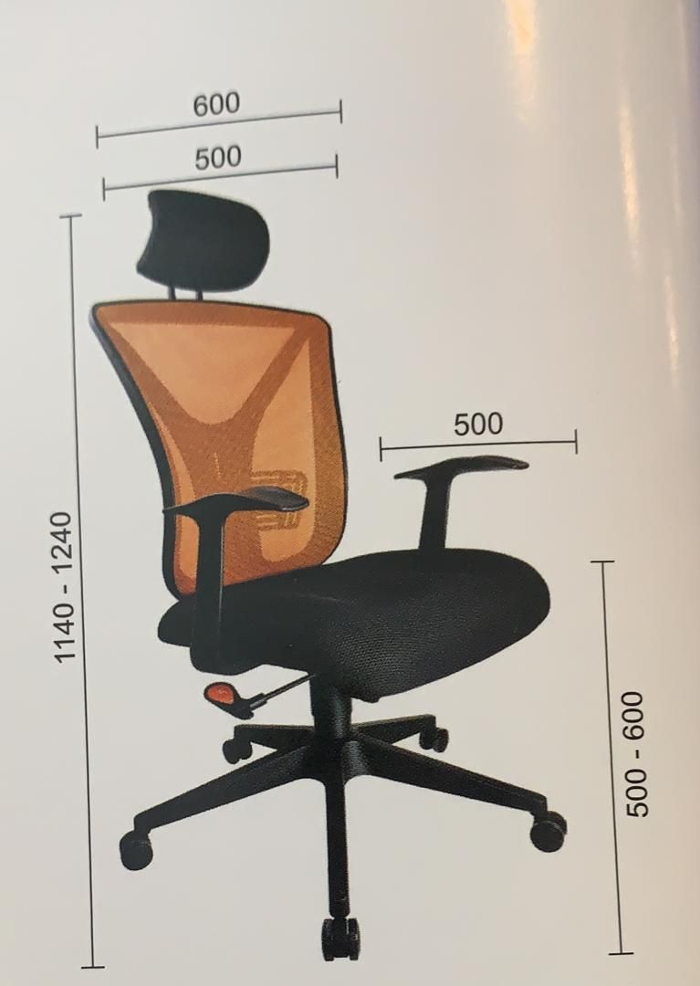 Ergonomic Office Chair Goldshine