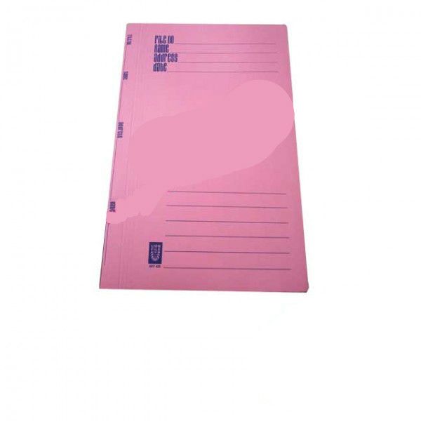 Lion Flat Paper File 420