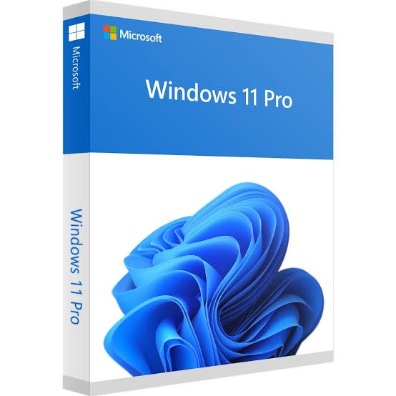 Microsoft Windows 11 Professional Digital License with Installation