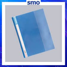 LION MANAGMENT FILE 807A