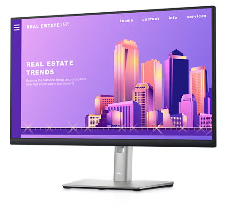 Genuine Malaysia Dell Warranty - Dell 24 Monitor - P2422H 23.8''