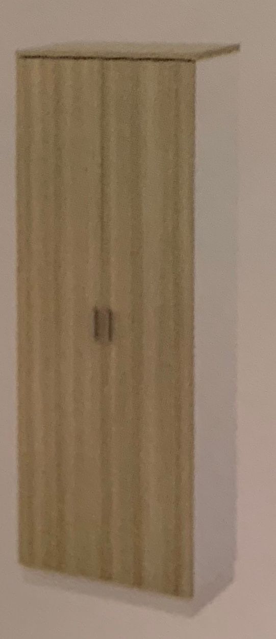 SWINGING DOOR HIGH CABINET