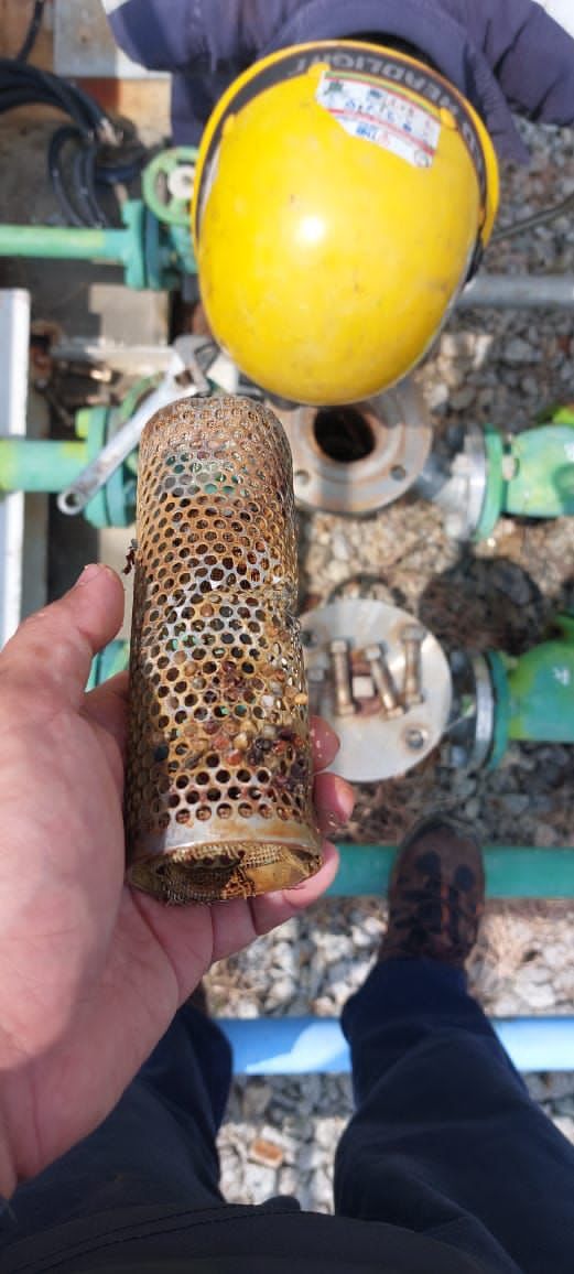 Pipe strainer