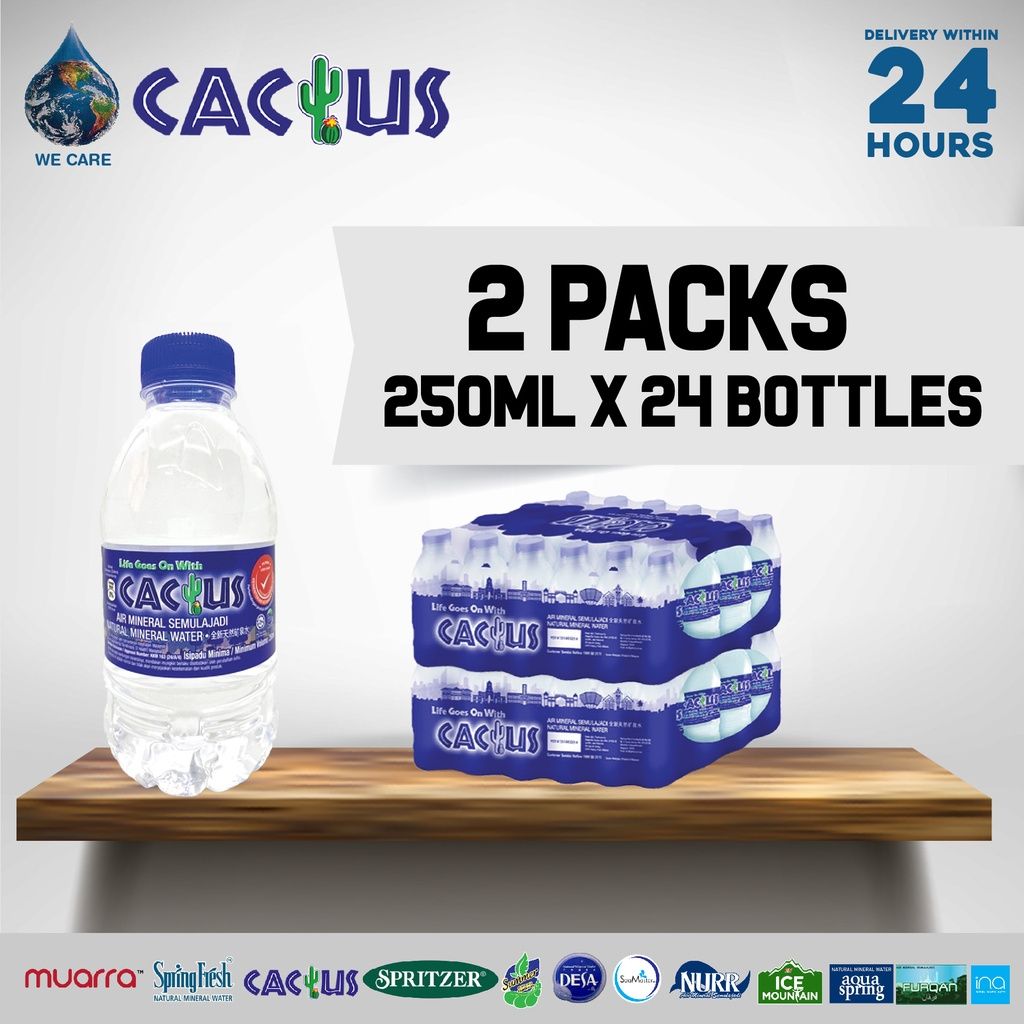 CACTUS Mineral Water (250ml x 24 Bottles x 2 Packs)