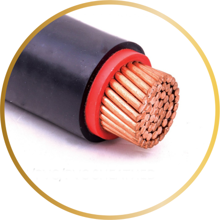 SE SETIA ELECTRIC UTAMA 4MM SQ X 2C PVC CABLE (1METER )