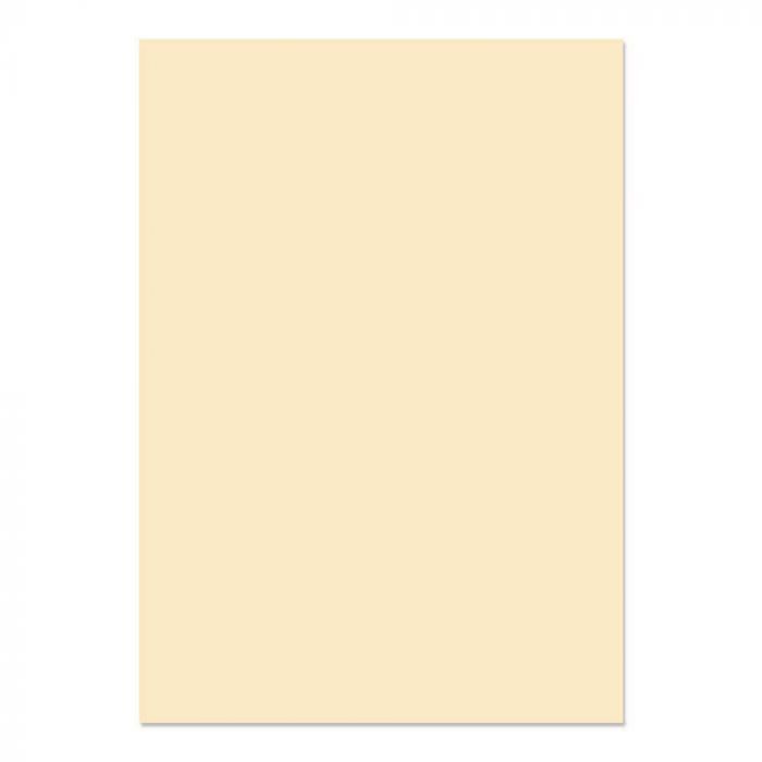 CERTIFICATE A4 PAPER PLAIN (100's/pkt)