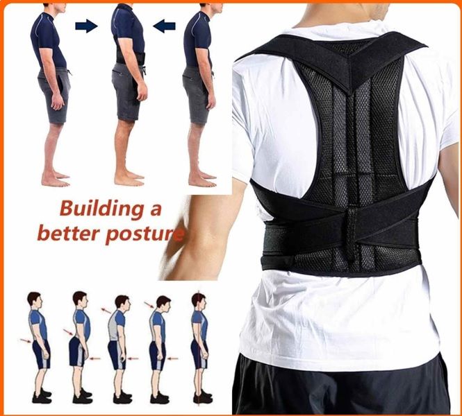 OEM *Back Support Belt