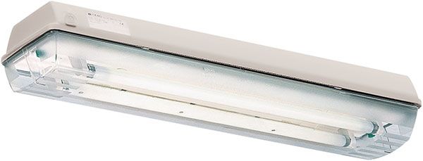 CEAG Twin Fluorescent Hazardous Area Light, 18W, 180mA - 12265875111