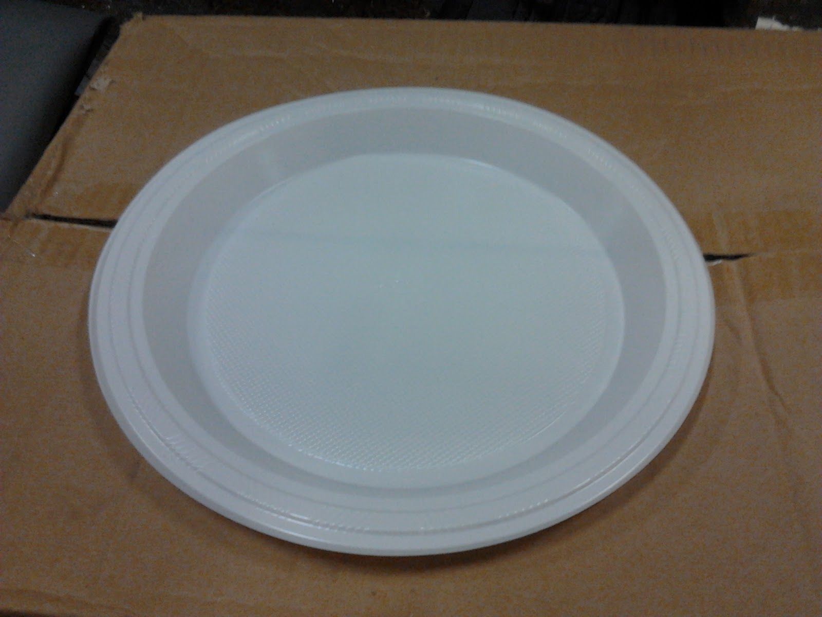 Disposable Plastic Plate 10”