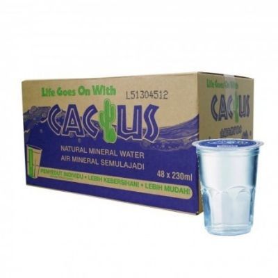 Cactus Natural Mineral Water Cup carton 48 x 230ml