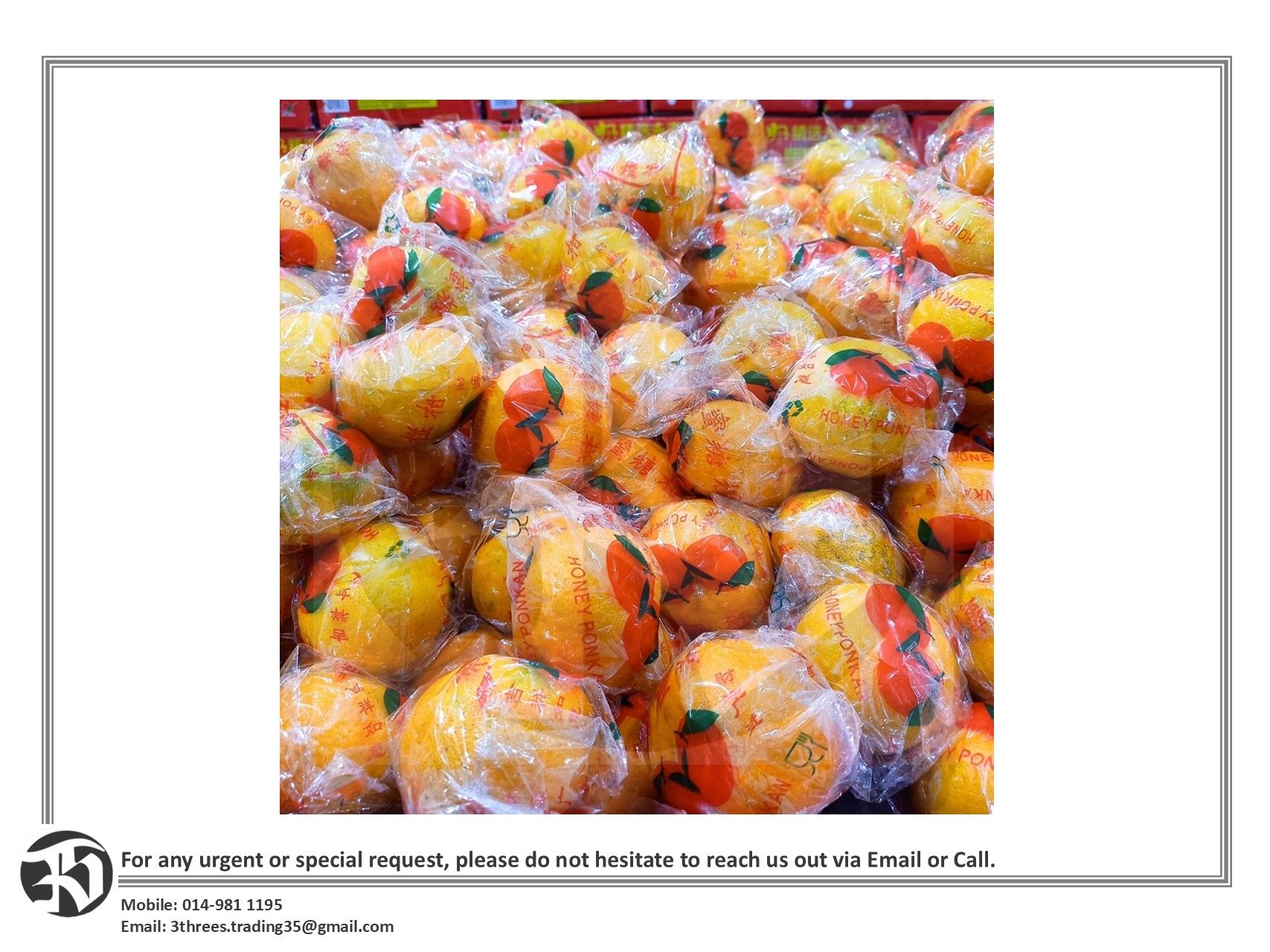 Mandarin Orange 4kg±/Box (L Size)