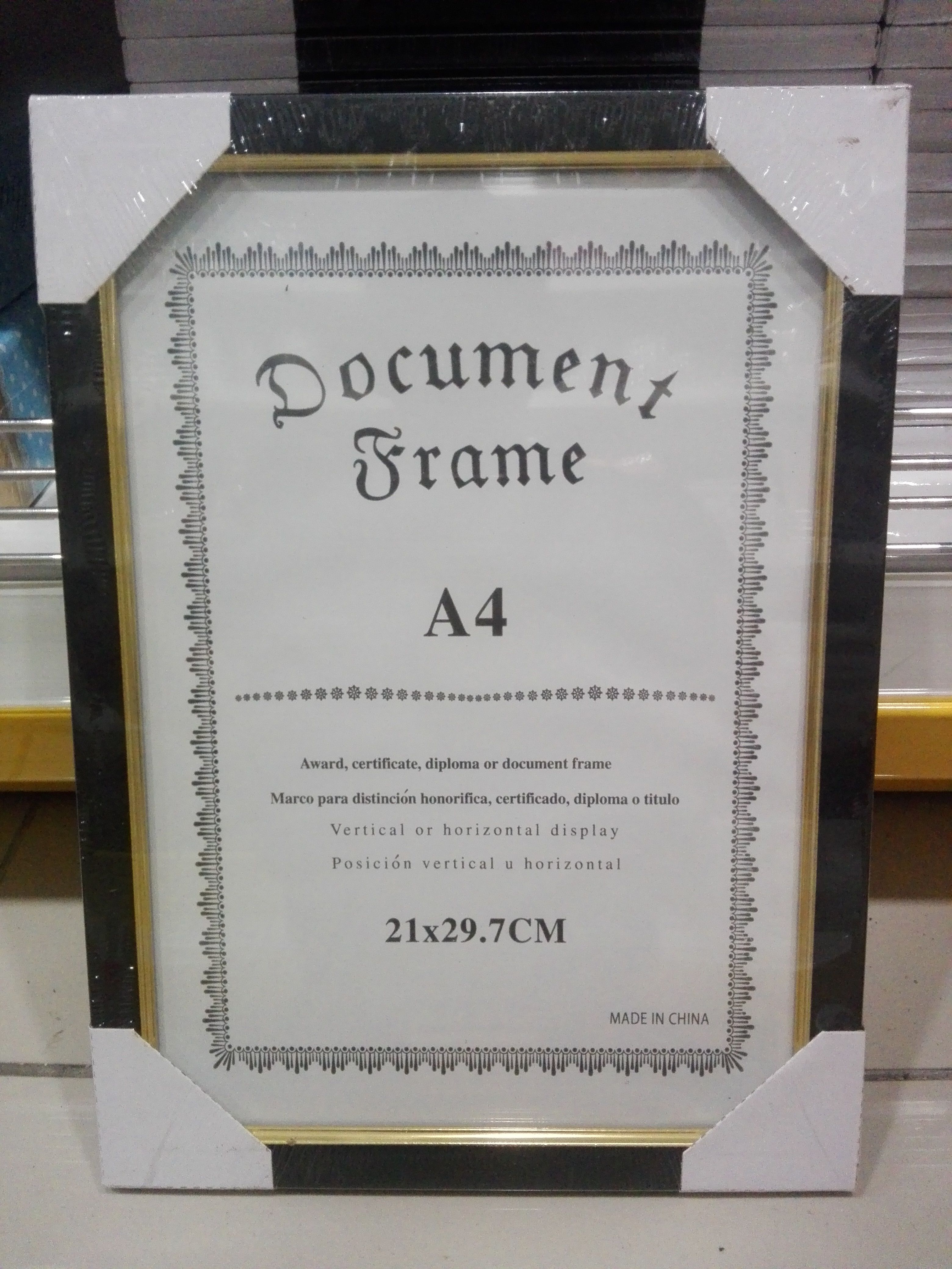 Document Frame A4