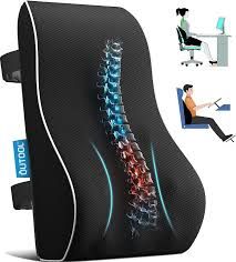 PEWANY Lumbar Support Pillow, Ergonomic Comfortable Memory Cotton Back Cushion, Promotes Posture Adjustable Straps Mesh Cover Black