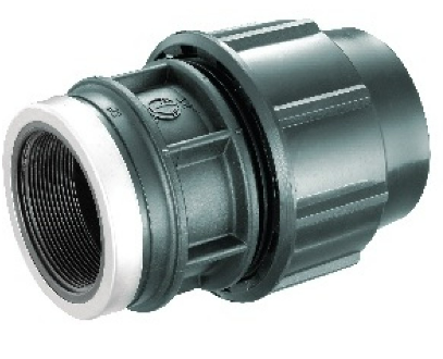 *HDPE Poly Fittings Female Threaded Adaptor 25mm x 3/4"