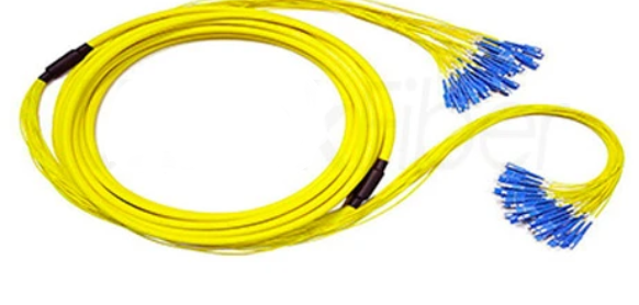 24 CORE CORD OFC SC/UPC to SC/UPC 80M, 2 CONN, YELLOW, 2mm FAN OUTCORD , 1 METER FAN OUT LENGTH, G652D