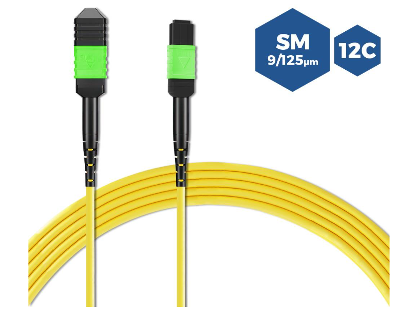 MPO/APC-MPO/APC FEMALE 40GB 8 &12CORES SINGLEMODE FIBER OPTIC TRUNK CABLE MPO MTP 3M 5M 20M