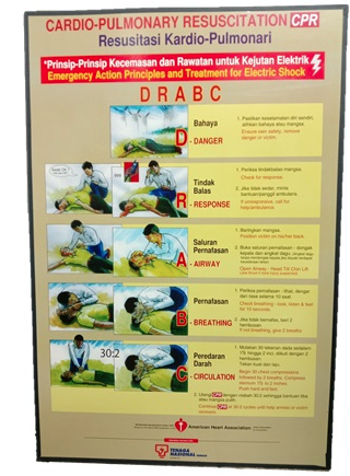 20″ X 30.5″ CPR CHART – DRABC