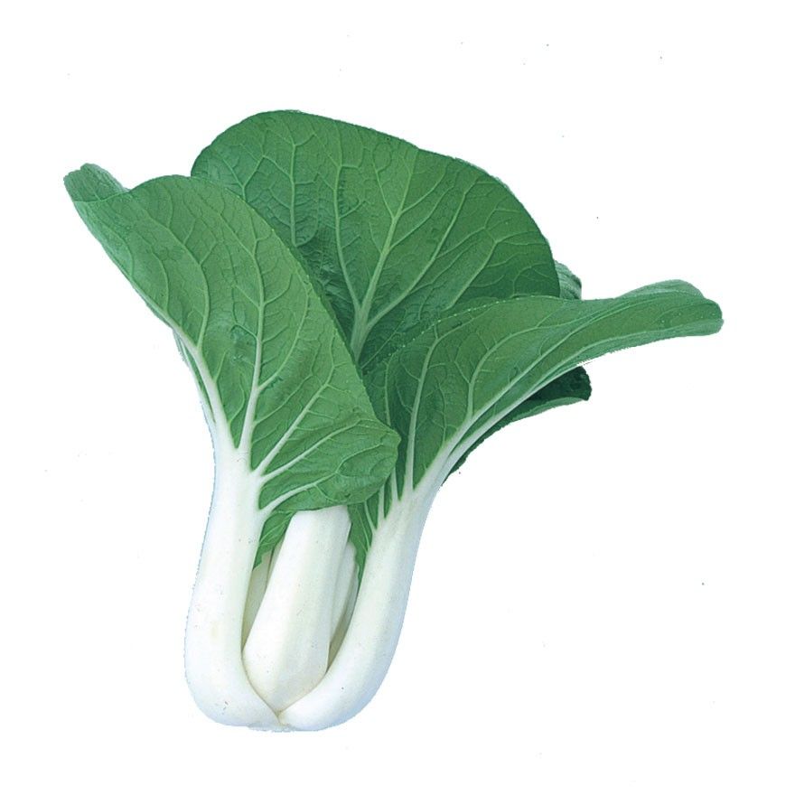 Benih Fan Pak Choy White Seeds (20gm)