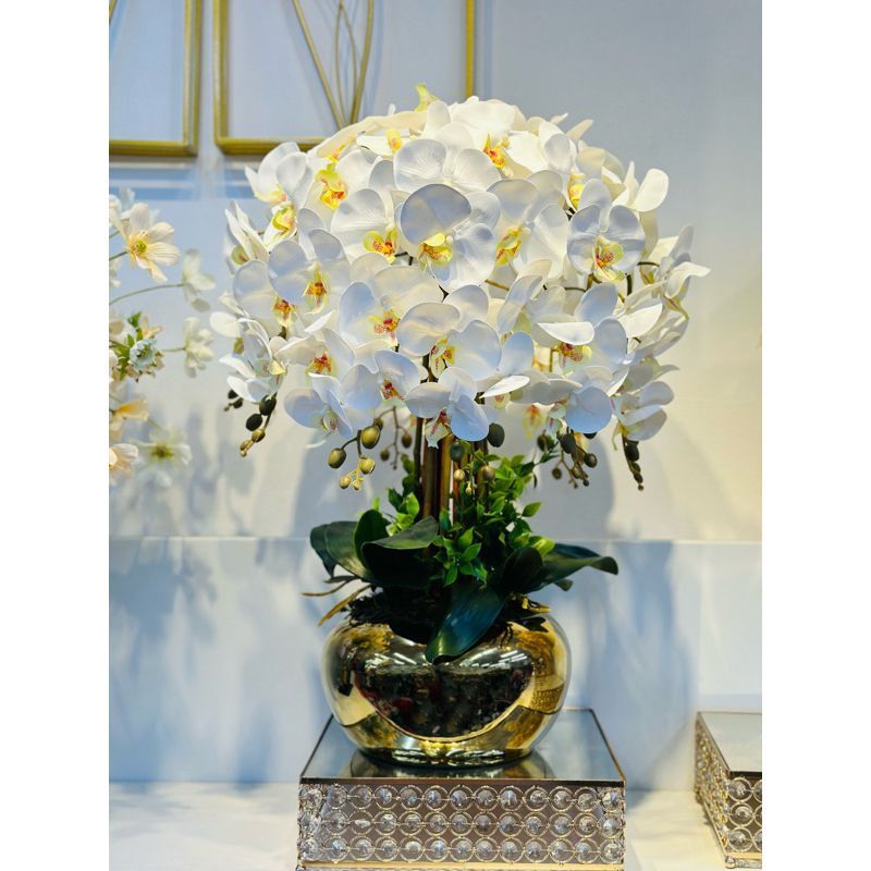 OEM Orchid Latex Siap Gubah