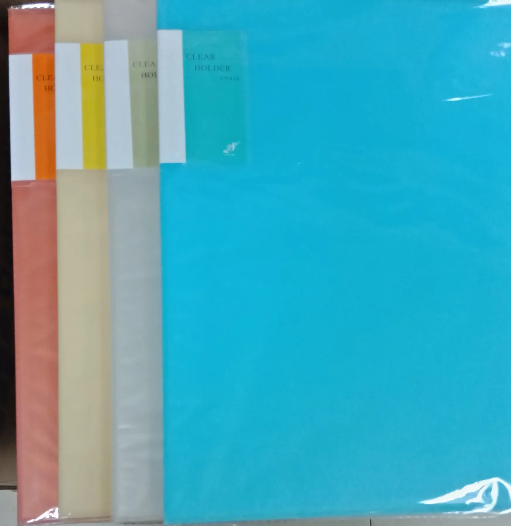 FILE CLEAR HOLDER EAST FILE A4 10 POCKETS (CNA10)